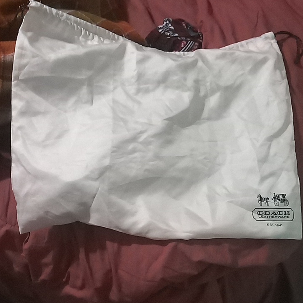 Coach silk bag